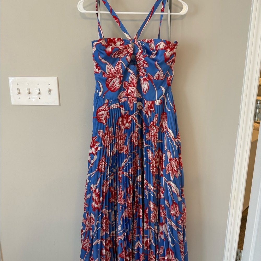 Monique Lhuillier Blue and Red Floral Dress